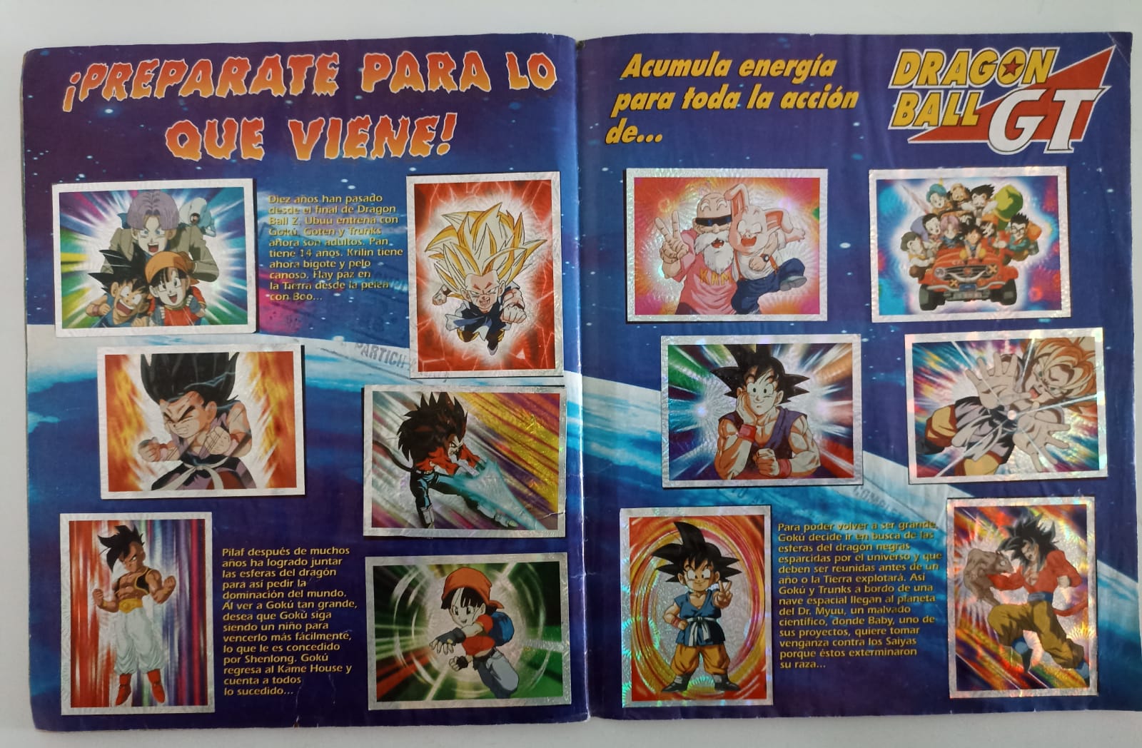 Álbum dragon Ball Z6 (Salo 2004)