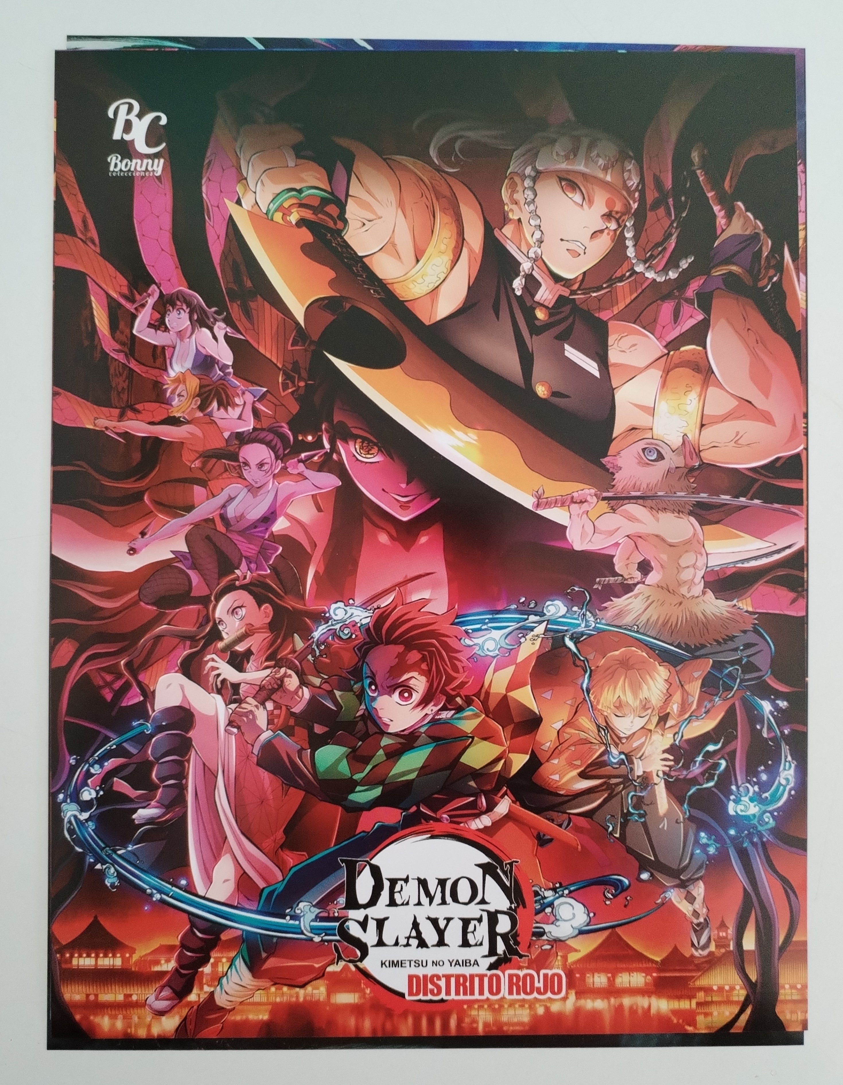 Álbum Demon Slayer 2